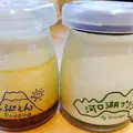 ラ・ヴェルデュール木村屋の写真_226788