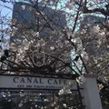 CANAL CAFE（カナルカフェ）の写真_226920