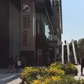 飯田橋サクラテラスの写真_226922