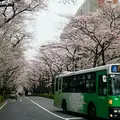 光が丘の写真_227165