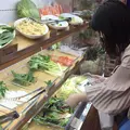 やっちゃばる なのねの写真_227187