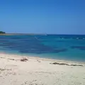 土盛海岸の写真_227389