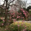 徳川園の写真_227444