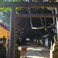 酒列磯前神社の写真_227629
