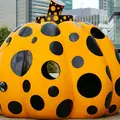 国立新美術館の写真_227635