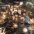 田の原川の写真_227784
