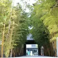 梅窓院の写真_227806