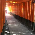 伏見稲荷大社の写真_228111