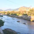 鴨川の写真_228152