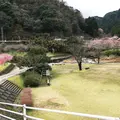 耶馬渓ダムスポーツ公園の写真_228229