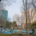 新宿中央公園の写真_228242