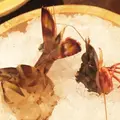 魚屋豪椀の写真_228435