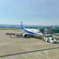 羽田空港国際線ターミナルビルの写真_228454