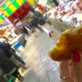 近江町市場の写真_228467