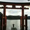 箱根神社の写真_228552