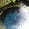 柿田川湧水の写真_228603