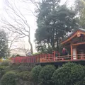 根津神社の写真_228753