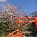 下鴨神社（賀茂御祖神社）の写真_229191