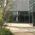代官山 蔦屋書店(TSUTAYA)の写真_229445