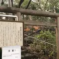 猿楽神社の写真_229455