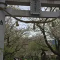 徳佐八幡宮の写真_229670