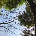 代々木公園の写真_229742