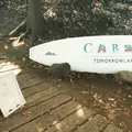 CABAN（カボン）の写真_229862