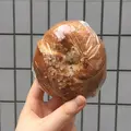tecona bagel works（テコナベーグルワークス）の写真_230262