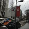 カロスキル/가로수길の写真_230787