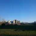 豊平川の写真_231020