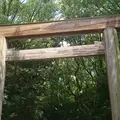 熱田神宮の写真_231400