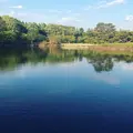 国営昭和記念公園日本庭園の写真_231831