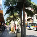 国際通りの写真_232593