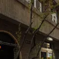奥野ビルの写真_232692