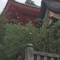 清水寺の写真_232846