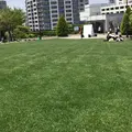 アメリカ山公園の写真_233505