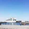 象の鼻パークの写真_233517