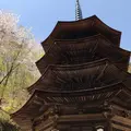 安楽寺の写真_233531