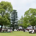 京都競馬場の写真_233701