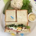 フロインドリーブの写真_233864