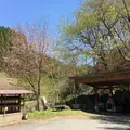 立岩水源公園の写真_234144