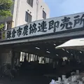 鎌倉市農協連即売所の写真_234246