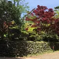 源氏山公園の写真_234248