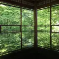 瑠璃光院の写真_234350