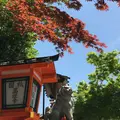 八坂神社の写真_234790