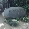 矢切の渡しの写真_235088