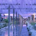 天王川公園の写真_235277