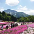 羊山公園の写真_235295
