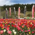 サラキ岬の写真_235312