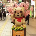 狸小路商店街の写真_235453